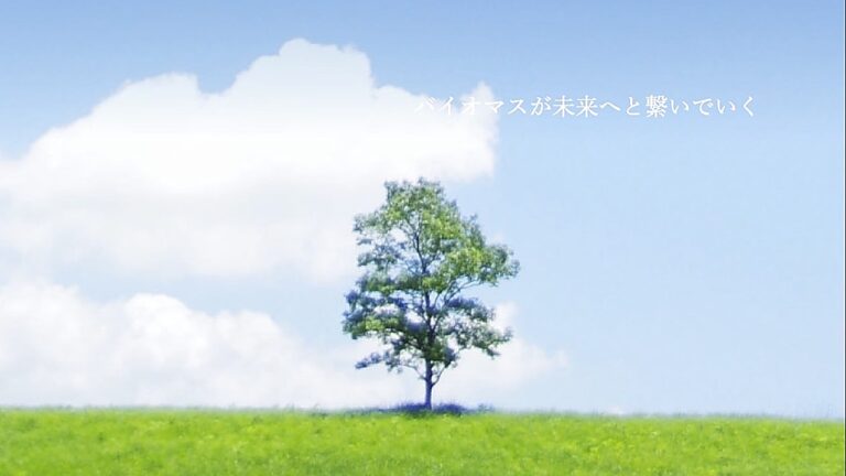 バイオマスエネルギーソリューションズ株式会社